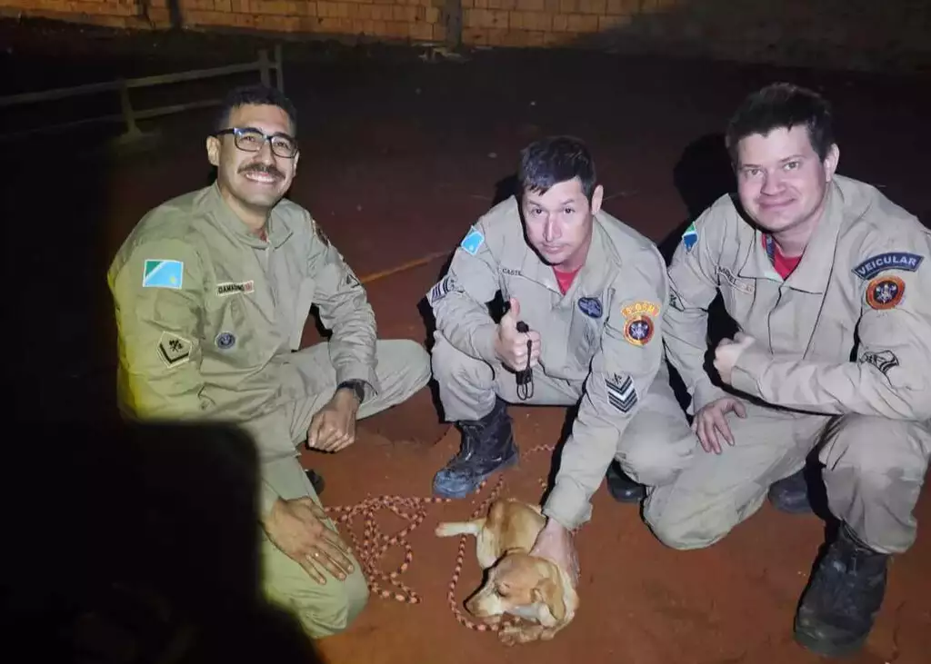 Cachorro cai em buraco de cinco metros em obra e é resgatado com vida pelos bombeiros em Campo Grande.