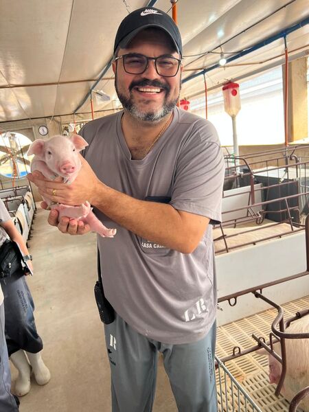 Suinocultura de MS avança com foco em sustentabilidade e tecnologia, com granjas como Vô Bento e Casa Caiada se destacando no setor