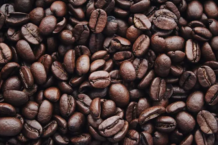 Tarifa de 50% sobre cafés especiais brasileiros fez exportações aos EUA caírem quase 80% em agosto
