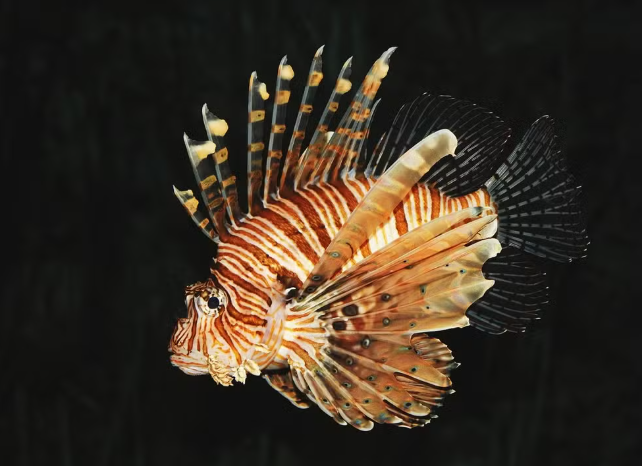 Peixe-leão