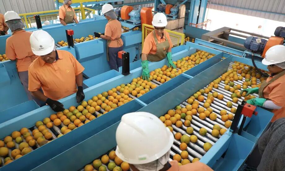 Produtos como suco de laranja, combustíveis e minérios estão entre as exceções