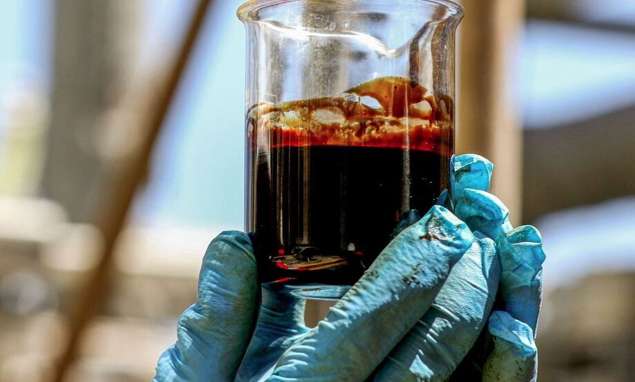 No segundo trimestre de 2025, 8% do petróleo da Petrobras foi destinado aos EUA
