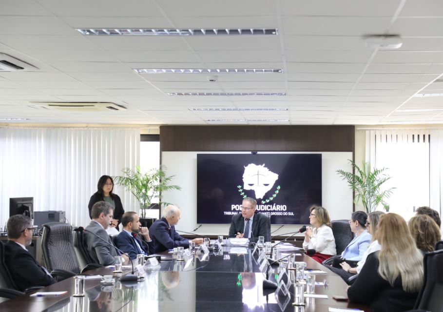 CSJE aborda mutirões, capacitação de juízes leigos e pauta ambiental em sessão extraordinária