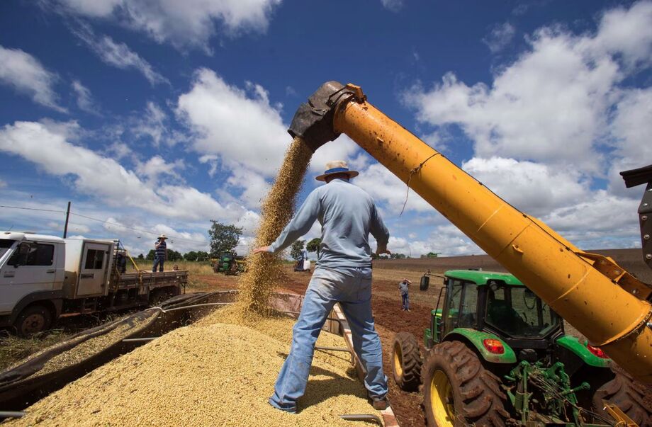 FMI destacou moderação da economia brasileira depois do forte crescimento dos últimos três anos