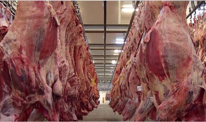 Carcaças de carne bovina penduradas em frigorífico em Mato Grosso do Sul, onde produção para exportação aos Estados Unidos foi suspensa após anúncio de tarifa de 50%.