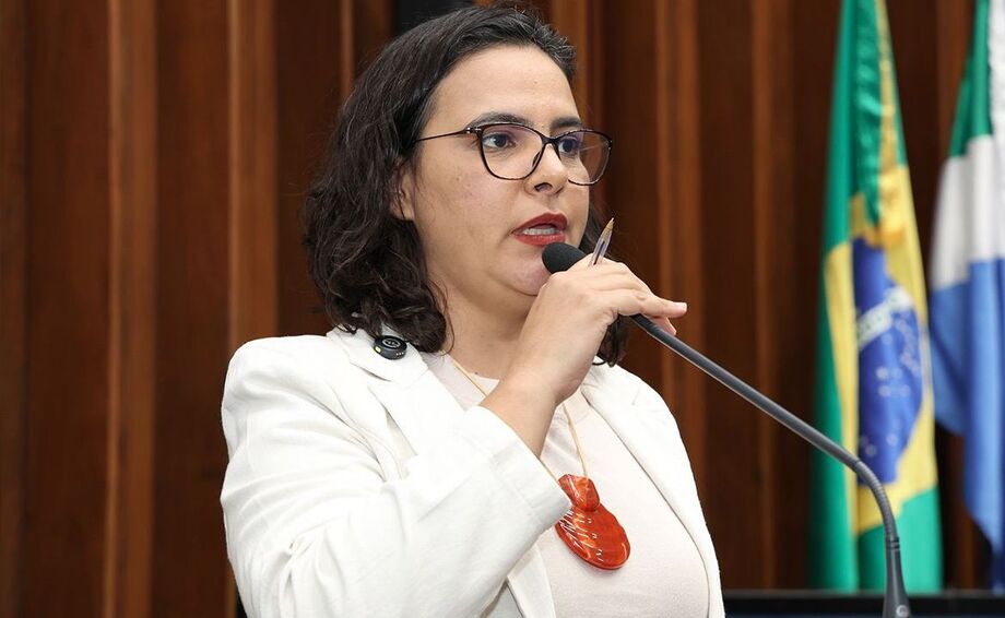 A parlamentar ressaltou que tal violência reflete no atendimento à sociedade e leu carta de enfermeira