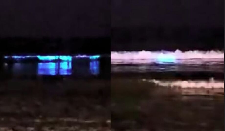 Praia de Porto Belo, no litoral de Santa Catarina, registrou fenômeno de bioluminescência no último fim de semana.