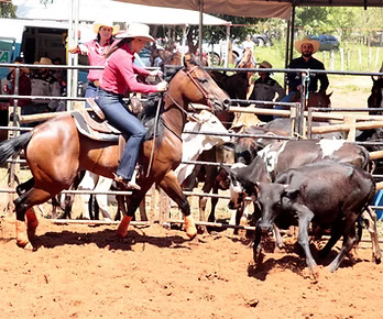 Com provas cronometradas e clima de festa, Campo Grande recebe neste domingo (27) a segunda etapa da 3ª Copa Montana de Ranch Sorting