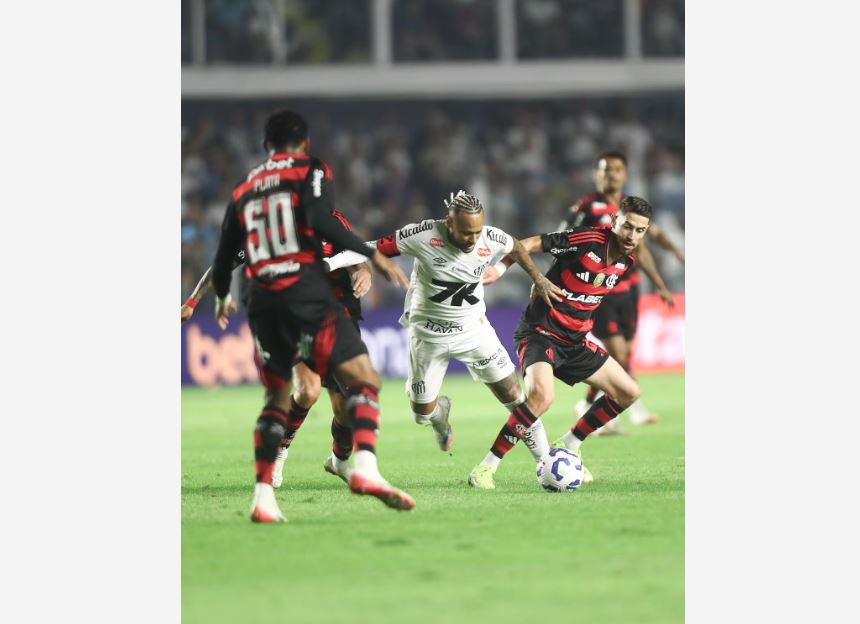 SANTOS X FLAMENGO - ESPORTES SANTOS X FLAMENGO CAMPEONATO BRASILEIRO - VILA BELMIRO - 16-07-2025-85 NA FOTO LANCE DO JOGO