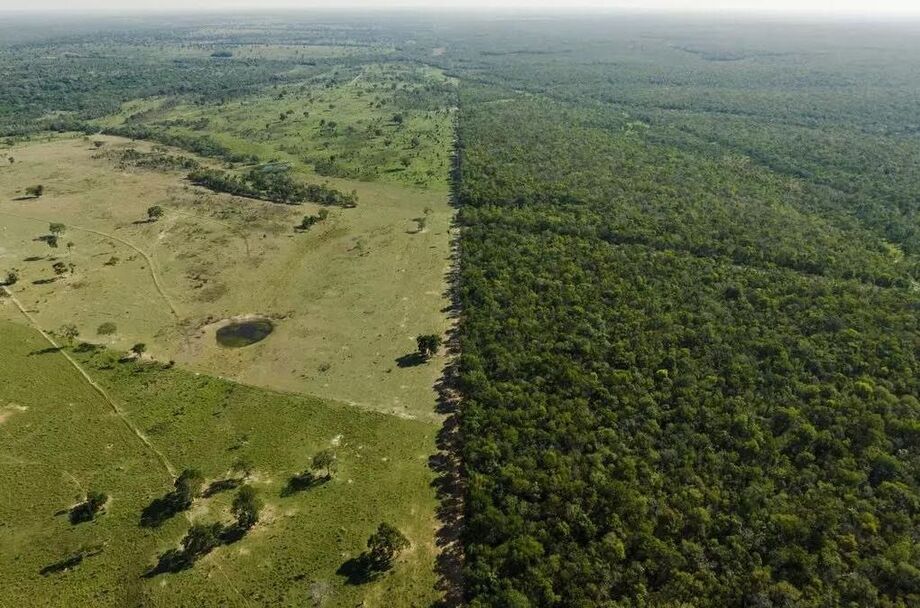 Imagem aérea mostra contraste entre área de fazenda e floresta preservada no Pantanal, tema central do documentário Pantanal, indicado ao Oscar Verde.