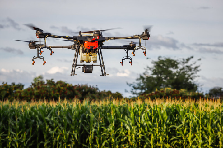 MS lidera startups no Centro-Oeste com 595 empresas e aposta em agronegócio, saúde e inteligência artificial para crescer.