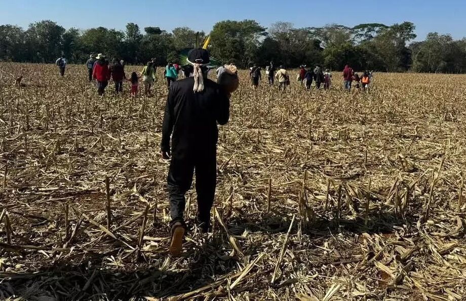 Indígenas guarani-kaiowá caminham por área de plantação em região de conflito fundiário no Mato Grosso do Sul.