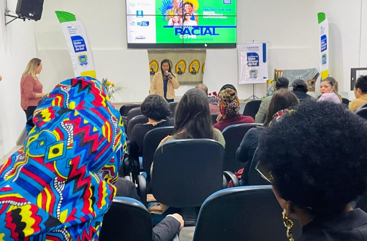 A plataforma organiza os dados em painéis visuais e interativos, permitindo a visualização detalhada por município e por grupo étnico-racial