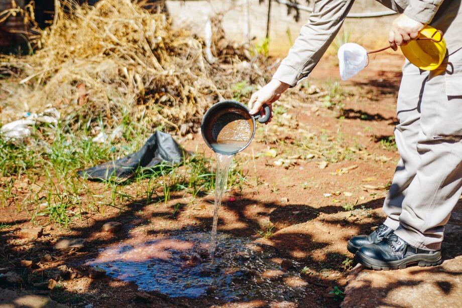 Atualmente, o município está entre os dez com menor incidência das doenças causadas pelo mosquito Aedes aegypti .