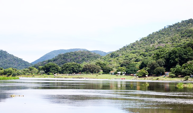 Propriedades no Pantanal que preservam vegetação nativa além do exigido por lei podem receber até R$ 100 mil por ano no PSA Conservação