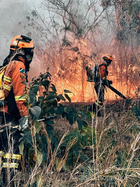 Campanha Agosto Cinza reforça a necessidade de prevenção