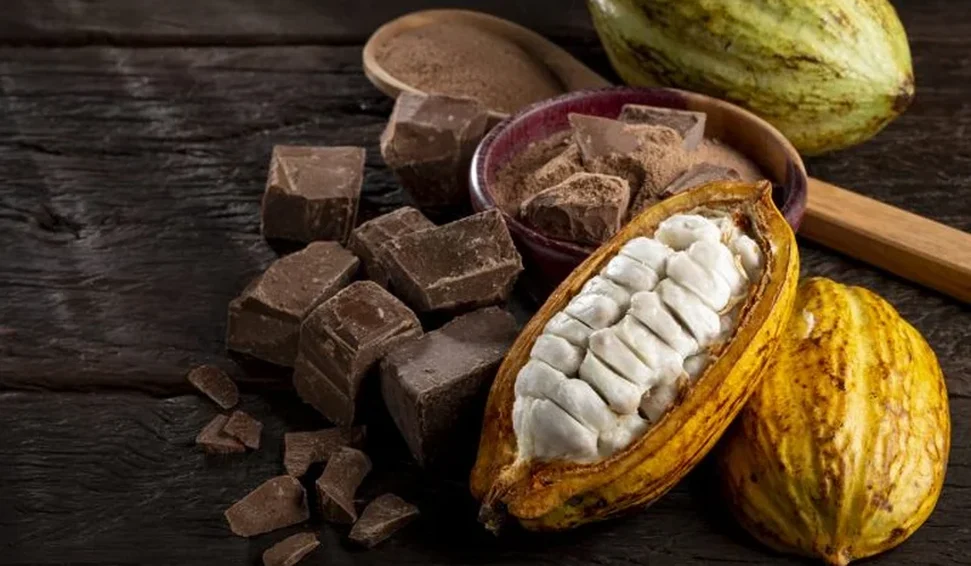 Dengo mantém foco em pequenos produtores