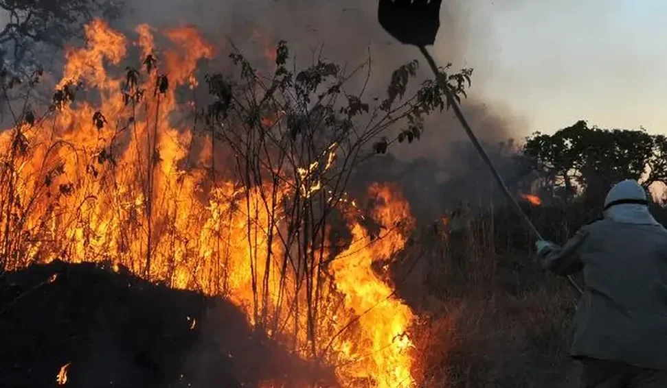 Mudanças climáticas aumentam intensidade dos incêndios florestais no Mediterrâneo, afirma estudo.