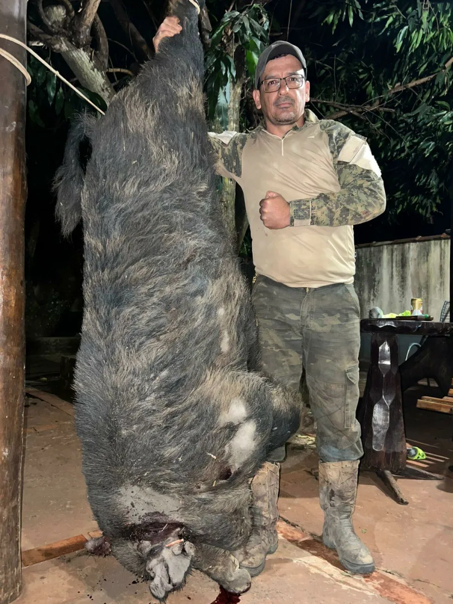 Caçador Cidão ao lado do javali de 300 kg abatido em Costa Rica, considerado o maior já registrado na região