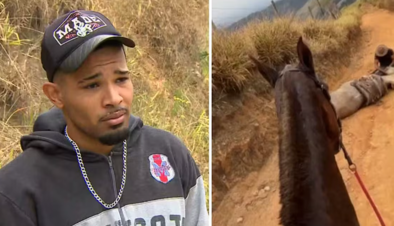 Andrey Guilherme Nogueira de Queiroz, de 21 anos, cortou as patas de um cavalo, após cavalgar com ele por quase 15 km e achar que o animal tivesse morrido.