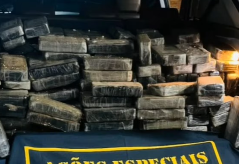 PM apreendeu mais de 200 quilos de pasta-base de cocaína no interior de São Paulo.