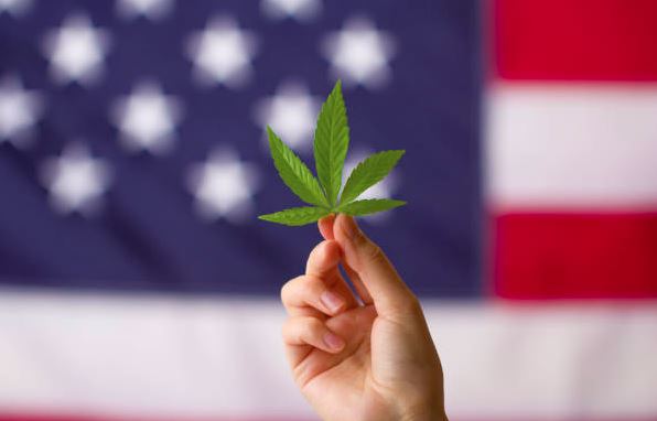 Possível reclassificação da maconha nos EUA pode abrir caminho para mais pesquisas e benefícios econômicos