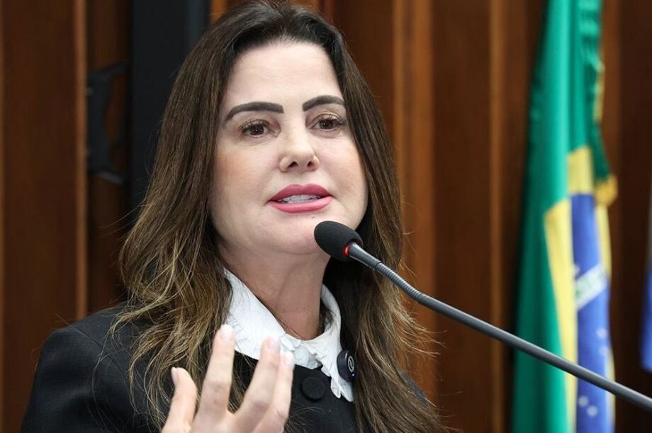Parlamentar citou caso de vídeo no qual o humorista Felca expôs a exploração de menores na internet