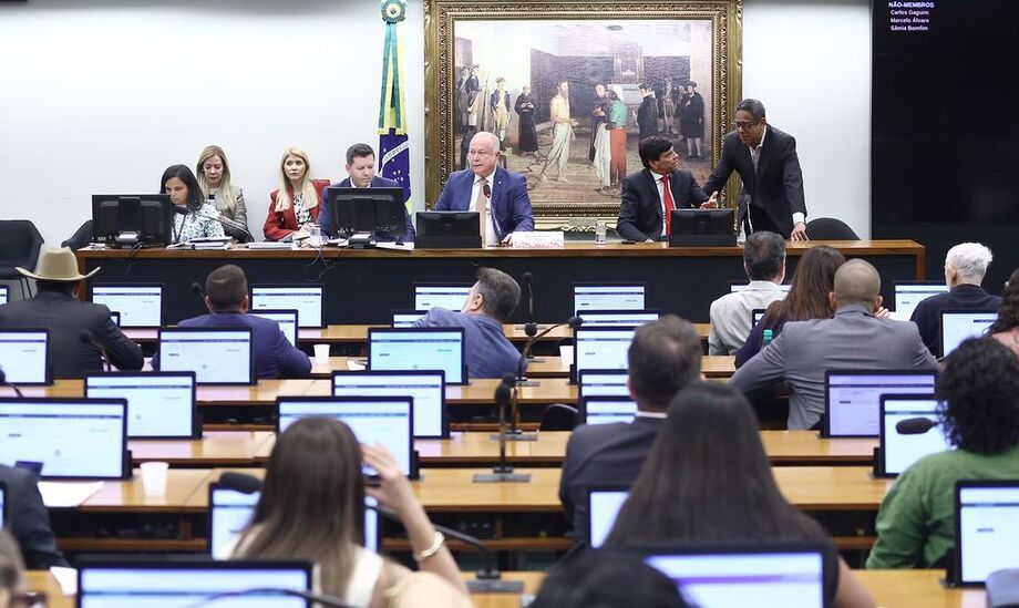 Deputados da CCJ durante votação unânime que aprovou aumento da pena para crimes de aliciamento infantil online.