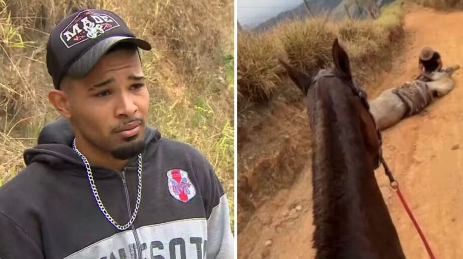 Estão me julgando, eu não sou um monstro, diz Andrey, que confessou ter mutilado cavalo com facão no interior de SP.
