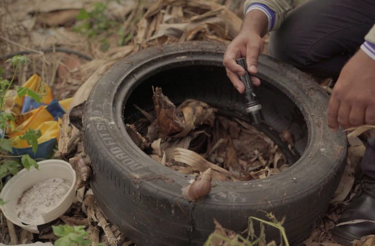 Casos de dengue e chikungunya preocupam Mato Grosso do Sul