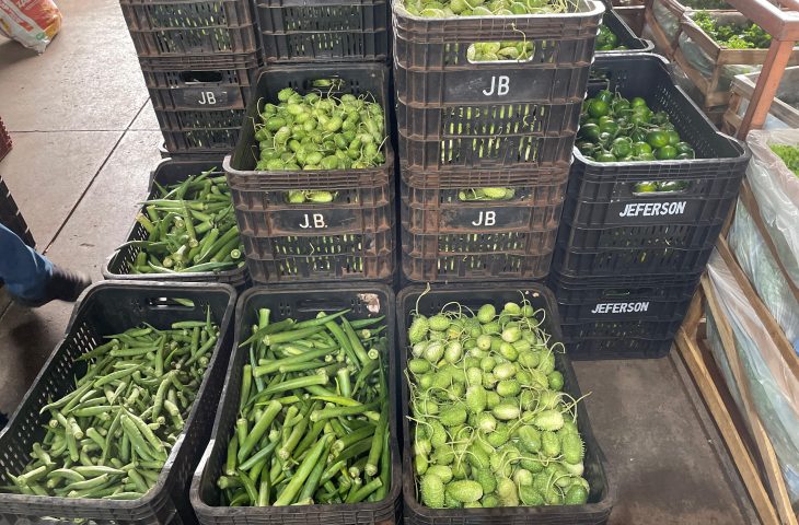 Mamão, quiabo, batata: saiba o que ficou mais barato na última semana de julho na Ceasa-MS