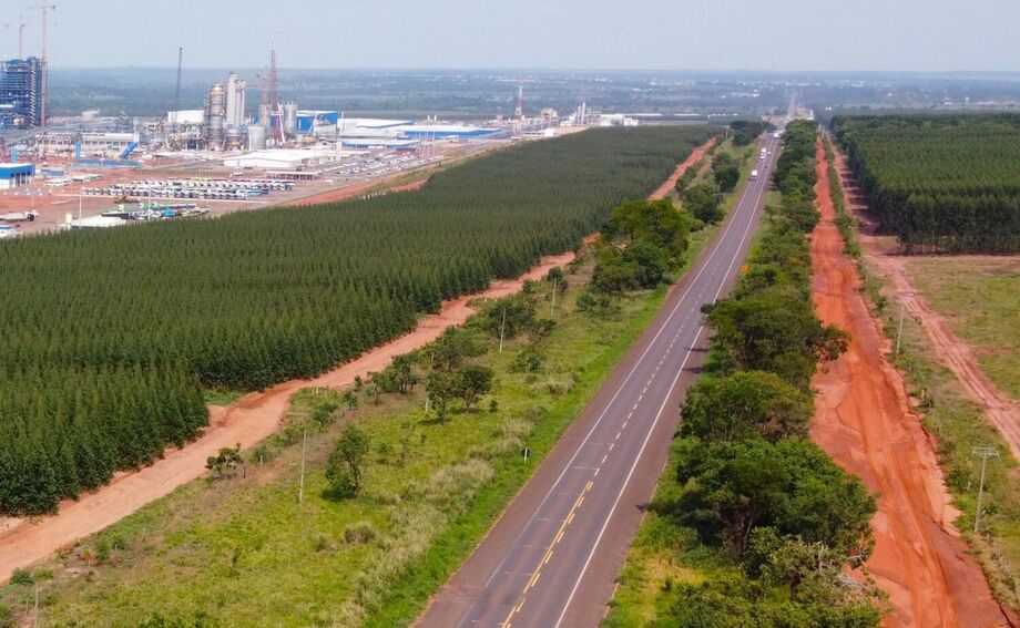 XP vence disputa pela concessão de 870 km de rodovias da Rota da Celulose; governo desclassifica concorrente por problemas em outra concessão.