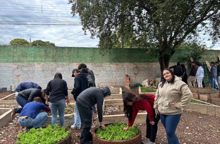 Fundect garante projeto em que aulas de matemática ganham vida com horta geométrica através do Pictec