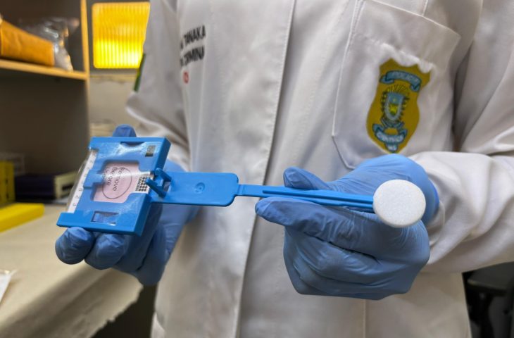 Campanha ocorre simultaneamente em todo o Brasil entre 5 e 15 de agosto