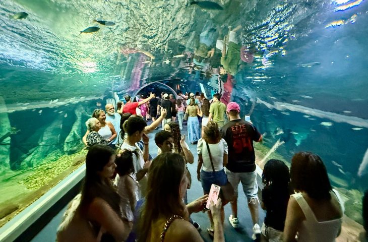 Bioparque Pantanal bate recorde em julho e atrai mais turistas de fora, consolidando Campo Grande no turismo nacional.