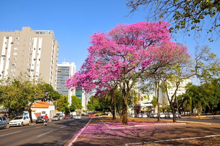 Primavera começa no próximo dia 22