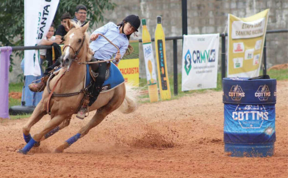Feira reúne competições, leilões, oficinas e palestras sobre equinocultura no Parque de Exposições da Acrissul