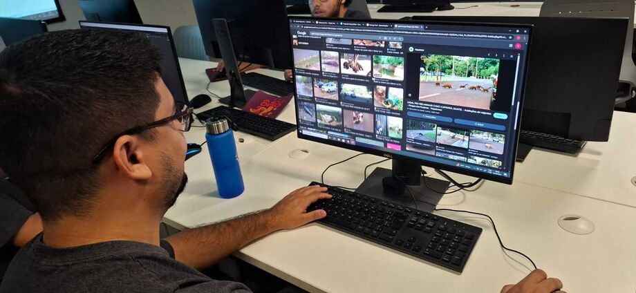 Aluno do Senac pesquisa imagens de quatis para usar como referência na criação do personagem principal do game educativo Economia Quativa
