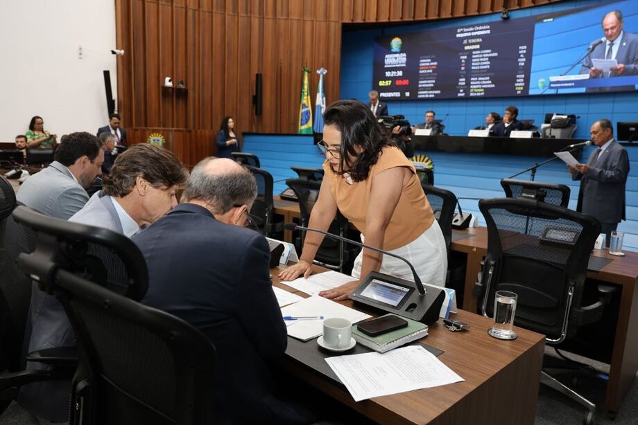Parlamentares analisam e votam os projetos durante a sessão plenária da Assembleia Legislativa