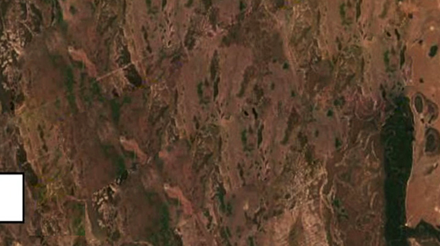 Vegetação nativa destruída em Coxim: incêndio ocorreu sem autorização ambiental e motivou investigação