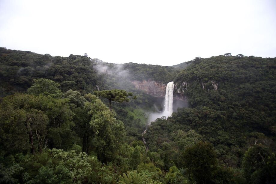 Rio Grande do Sul, um dos Estados com maior crescimento no turismo: 10,8%