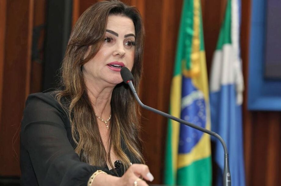 Deputada defendeu o fortalecimento dos conselhos tutelares para o enfrentamento a esse tipo de crime