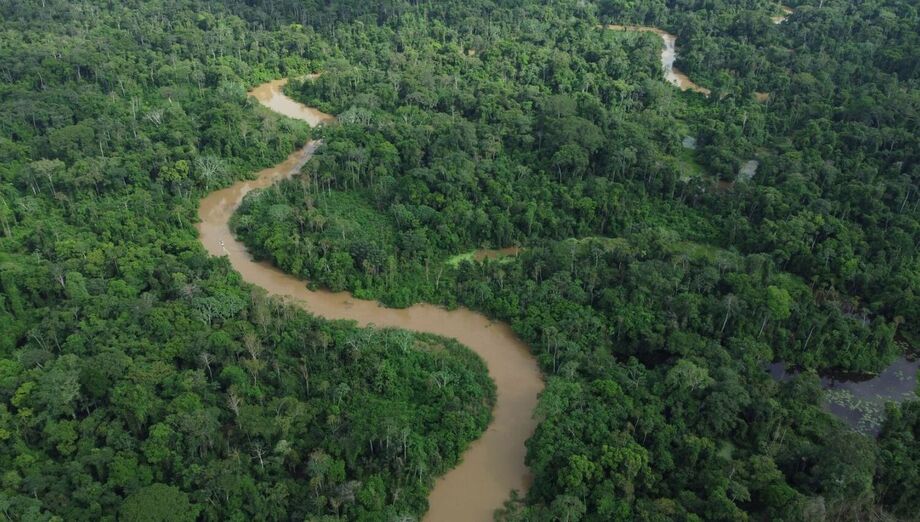 Ambientalistas alertam que MP do Licenciamento pode fragilizar compromissos do Brasil antes da COP30