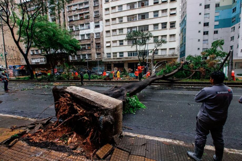 Árvore caída na Av. Nove de Julho, em São Paulo