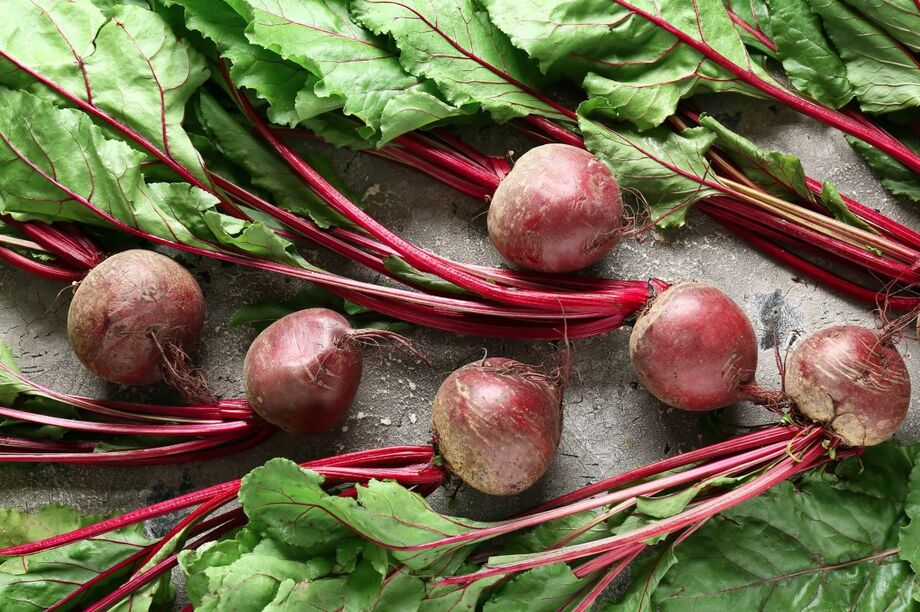 Folhas de beterraba são ricas em nutrientes e devem ser aproveitadas na rotina