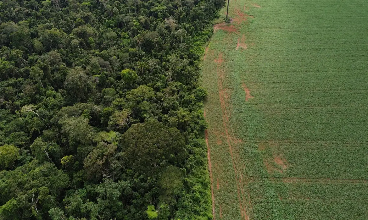 Um dos mecanismos é um fundo para conservação de florestas tropicais