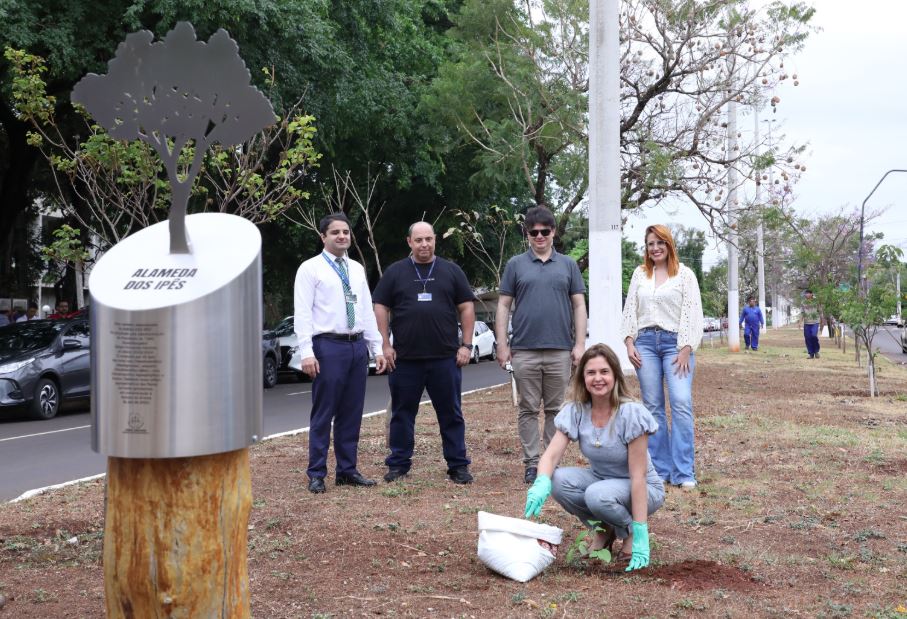 TJMS distribui 300 mudas e celebra Dia da Árvore com ações de conscientização ambiental.
