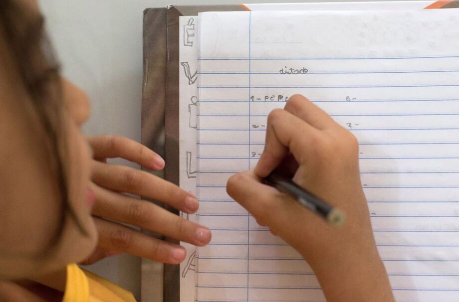 Uma das inovações trazidas pelo texto da Câmara é a criação da Infraestrutura Nacional de Dados Educacionais (INDE); sistema fará um compilado de dados educacionais de todo País.