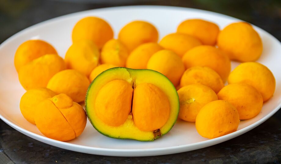No Dia do Cerrado, frutas típicas como o pequi lembram a importância de preservar o bioma e valorizar tradições culturais em MS