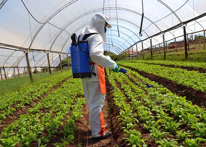 Ministério da Agricultura regulamenta pedidos de registro de novos defensivos agrícolas